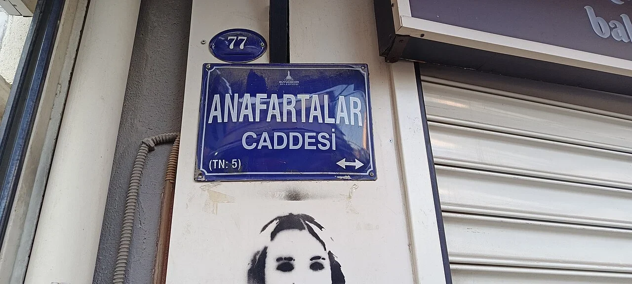 伊茲密爾：「ANAFARTALAR CADDESİ」為街名；上方獨立橢圓牌77為建築號碼，T.N:5另保留為未核實代碼。