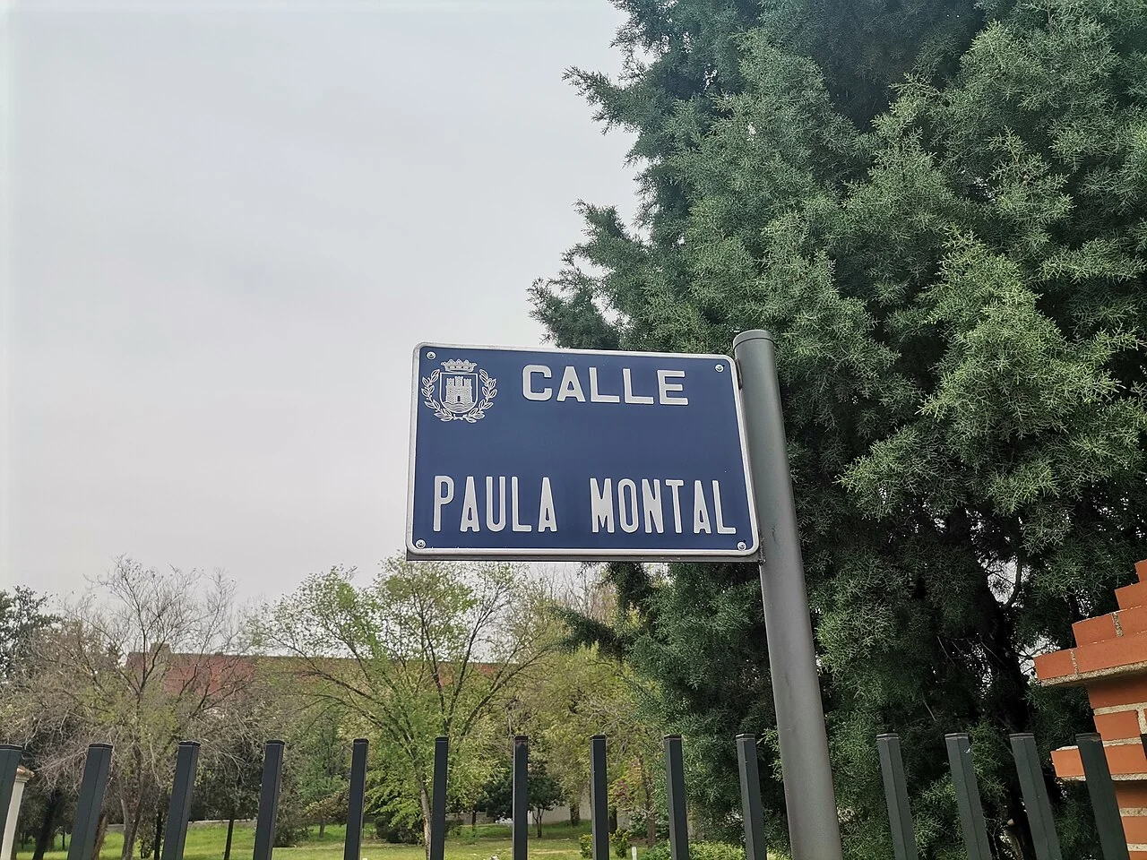 阿爾卡拉德埃納雷斯的實拍街牌。「CALLE PAULA MONTAL」為街名；上方徽章屬城市識別，並非門牌。