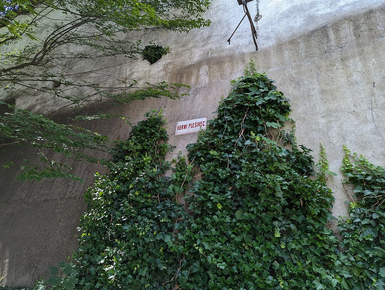 庫倫洛夫的實拍街牌。牆上白牌讀「HORNÍ PLEŠIVEC」；街牌在照片中較小，藤葉及牆面占主要畫面。