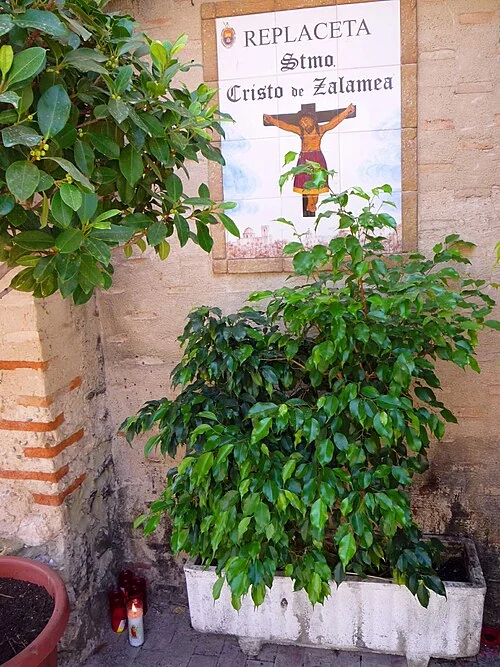 埃爾切的實拍街牌。「REPLACETA Santísimo Cristo de Zalamea」為小廣場名稱；十字架圖像與下方植物屬牌面及環境資訊。