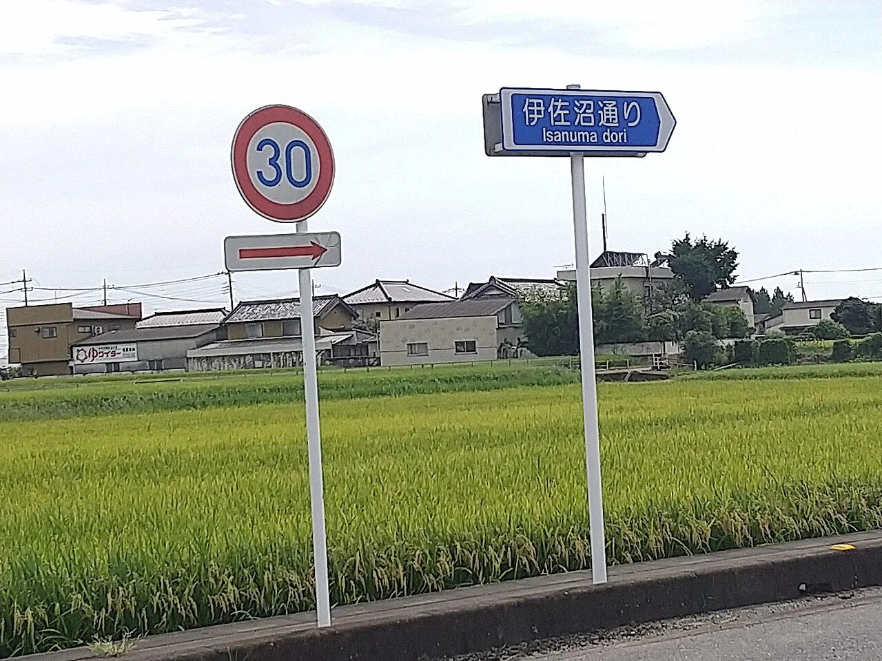 川越伊佐沼通的日文與羅馬字街牌立在稻田前,旁邊另有三十公里速限牌。